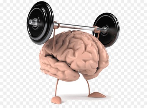 Image of strong brain lifting weight