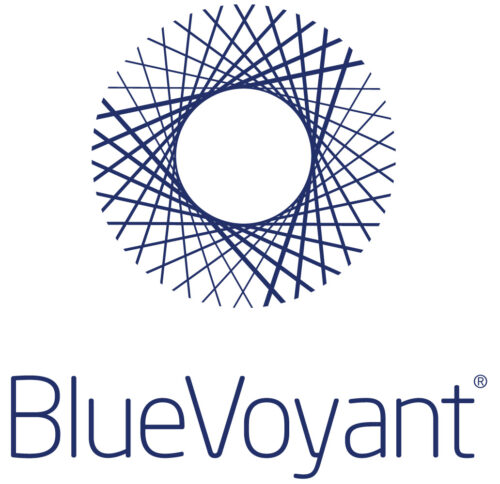 BlueVoyant main logo stacked